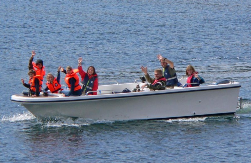 Inklusive - Premium 21 ft., 50 PS