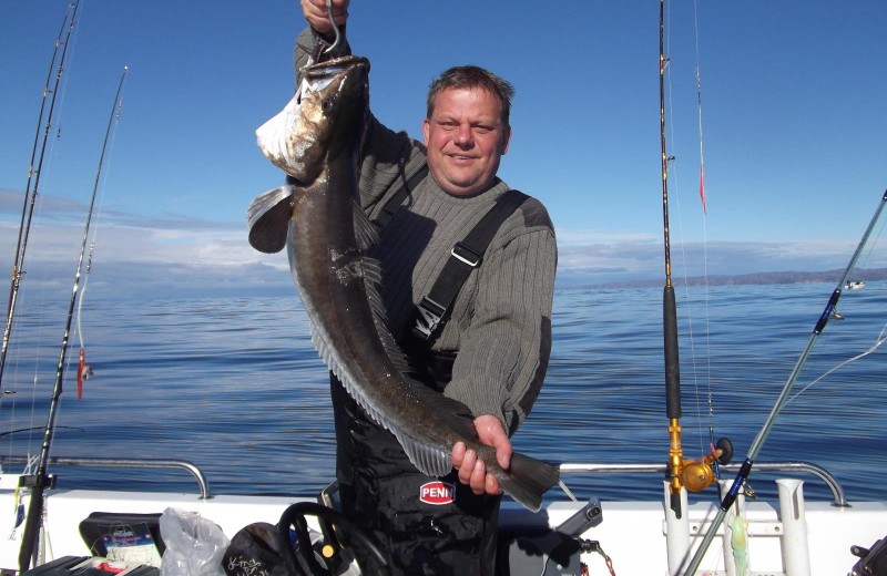 vor Hidra auf Seehecht