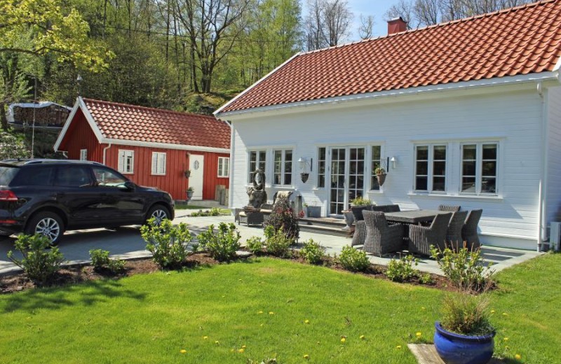 gepflegte Freiflächen