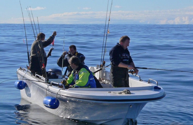 Inklusive ab 2024 Boot Elefant 21 ft. , 50 PS