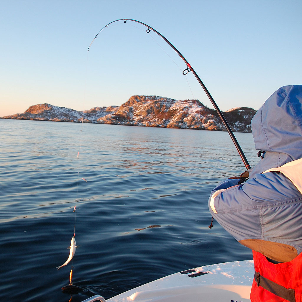 Winterurlaub Angeln in Norwegen